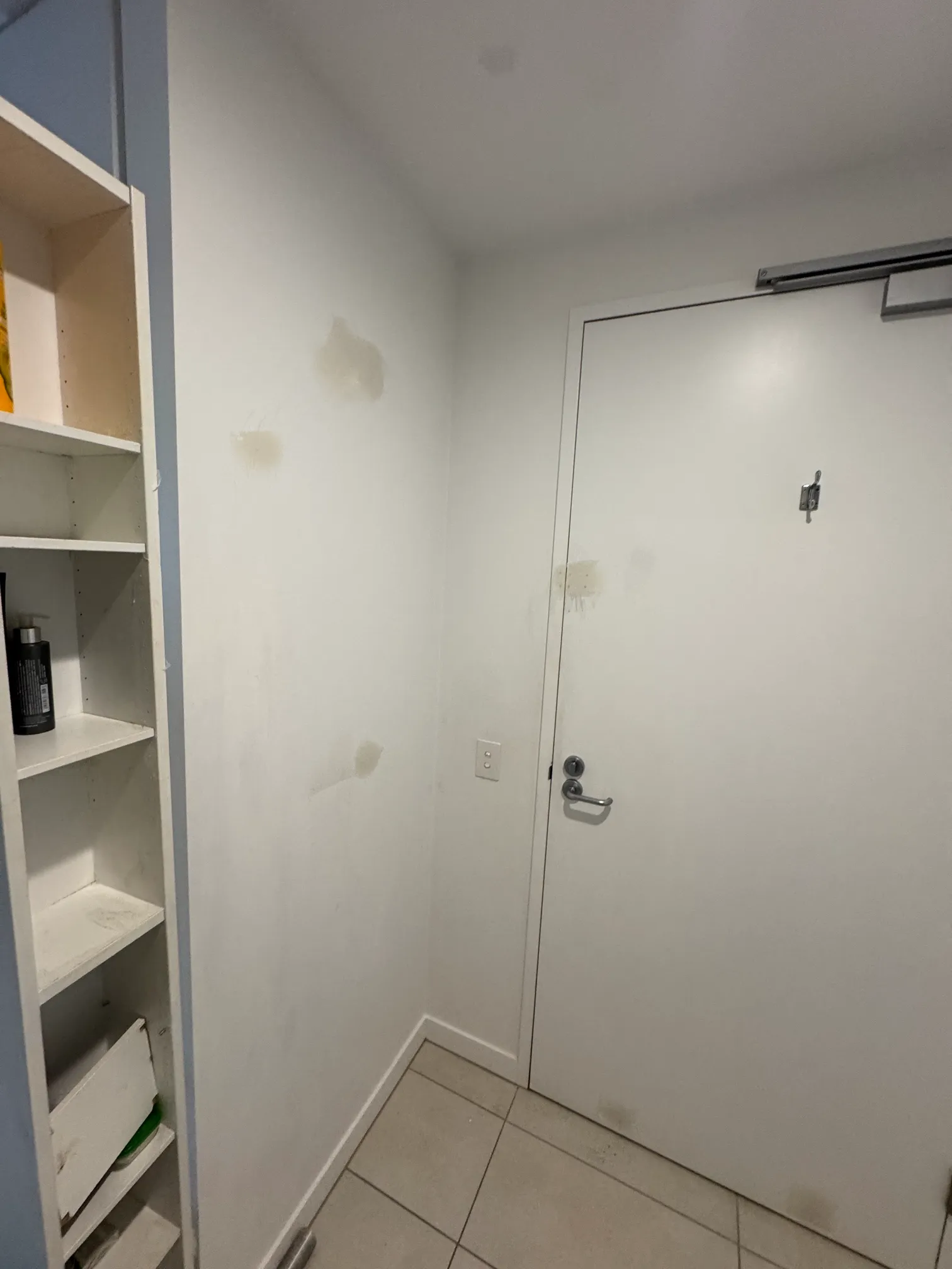Property renovation at 307 Allan Street
