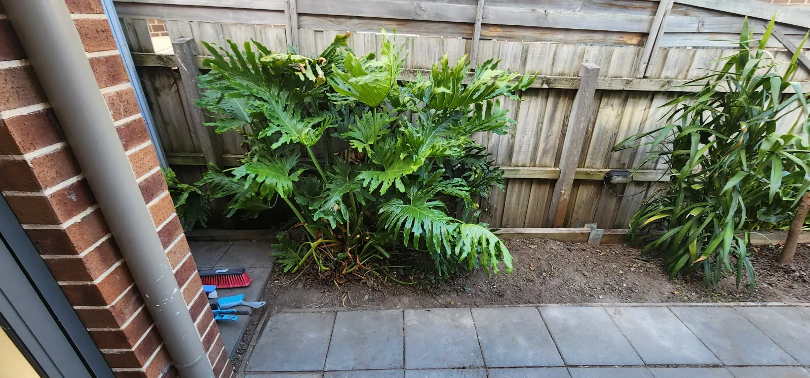 Garden landscaping with pavers and plantings